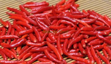 Medicinal uses of chili pepper